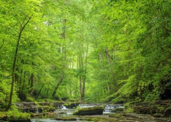 A Policy And Investment Framework For A Healthier Planet, People, And Communities