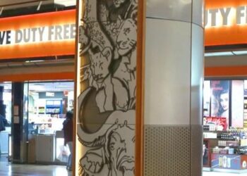 Shareholder Reset For South Africa’s Biggest Duty-Free Retailer