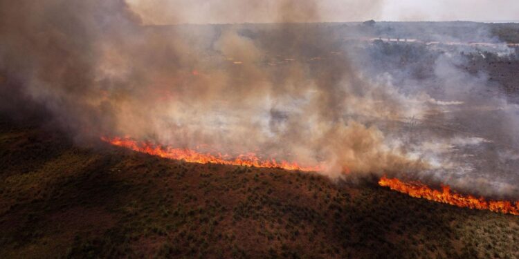 Investors Protest Deforestation As The Amazon Tipping Point Approaches Investors Protest Deforestation As The Amazon Tipping Point Approaches