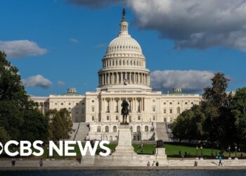 Competing funding bills fail in Senate vote on Day 9 of government shutdown | full video