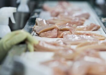 Hormel recalls 4.9M pounds of chicken possibly ‘contaminated with pieces of metal’ Hormel recalls 4.9M pounds of chicken possibly ‘contaminated with pieces of metal’
