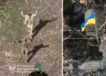 Ukraine Recaptures Kucheriv Yar, Exposing Flaws In Russian Strategy Ukraine Recaptures Kucheriv Yar, Exposing Flaws In Russian Strategy