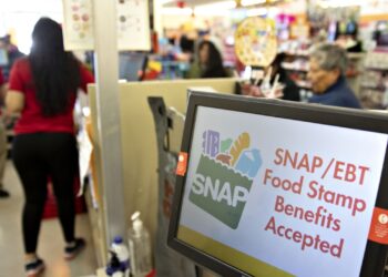 Retail giants expand perks for SNAP shoppers, but working families left behind Retail giants expand perks for SNAP shoppers, but working families left behind