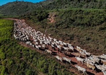 Markets, The Economy, And The Environment Working Together Markets, The Economy, And The Environment Working Together