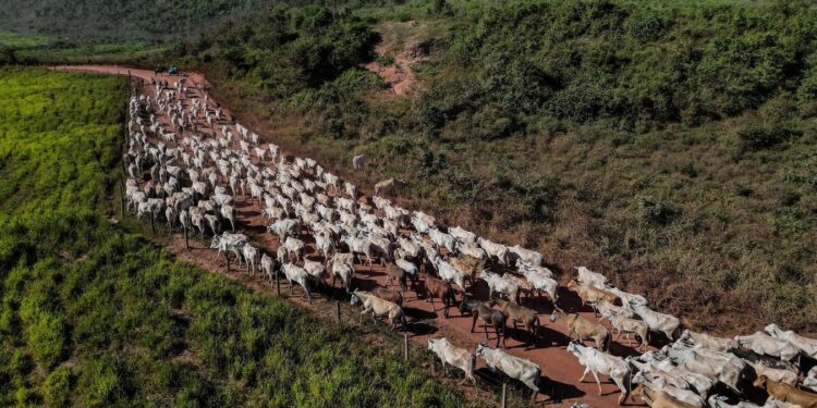 Markets, The Economy, And The Environment Working Together