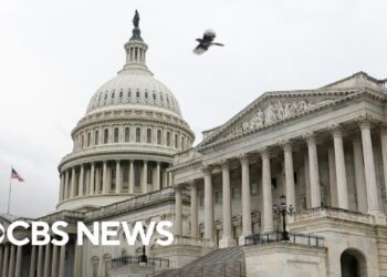 Government shutdown's impact on WIC
