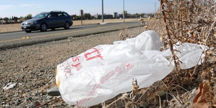 California lawsuit says makers of plastic bags lied about products being recyclable
