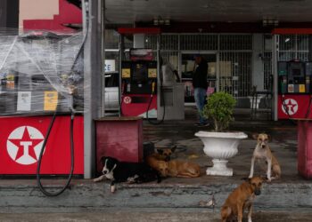 Hurricane Melissa threatens catastrophic flooding in Jamaica, Haiti Hurricane Melissa threatens catastrophic flooding in Jamaica, Haiti