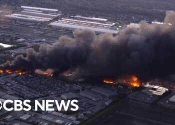 Video shows massive fire from UPS plane crash in Louisville, Kentucky