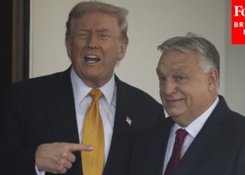 'I'll Be Supportive': Trump Vows To Back Viktor Orban In Next Hungarian Election Amid Ukraine War