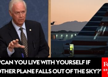 Ron Johnson Torches Democrats As Government Shutdown Causes Mass Flight Cancellations And Delays