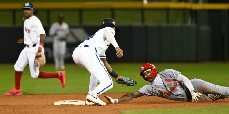 A new hedge fund launching next year hopes to be the ‘farm team’ for the trillion industry A new hedge fund launching next year hopes to be the ‘farm team’ for the trillion industry