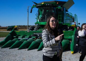 Agriculture Secretary Brooke Rollins says beef prices will come down in 2026 Agriculture Secretary Brooke Rollins says beef prices will come down in 2026