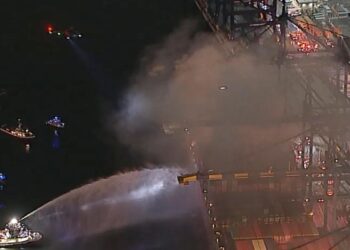 Cargo ship catches fire in Los Angeles with hazardous materials on board