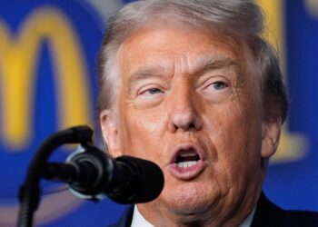 Trump touts his affordability policies at McDonald’s summit Trump touts his affordability policies at McDonald’s summit