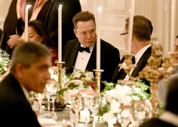 Elon Musk returns to White House for bin Salman dinner after ending Trump feud